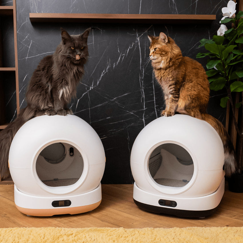 RESIGILAT - Litiera automata smart SHAW® Ultra pentru pisici, auto-curatare, sterilizare UV, odorizant, aplicatie mobila, negru