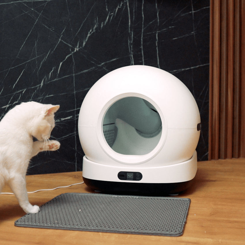 RESIGILAT - Litiera automata smart SHAW® Ultra pentru pisici, auto-curatare, sterilizare UV, odorizant, aplicatie mobila, negru