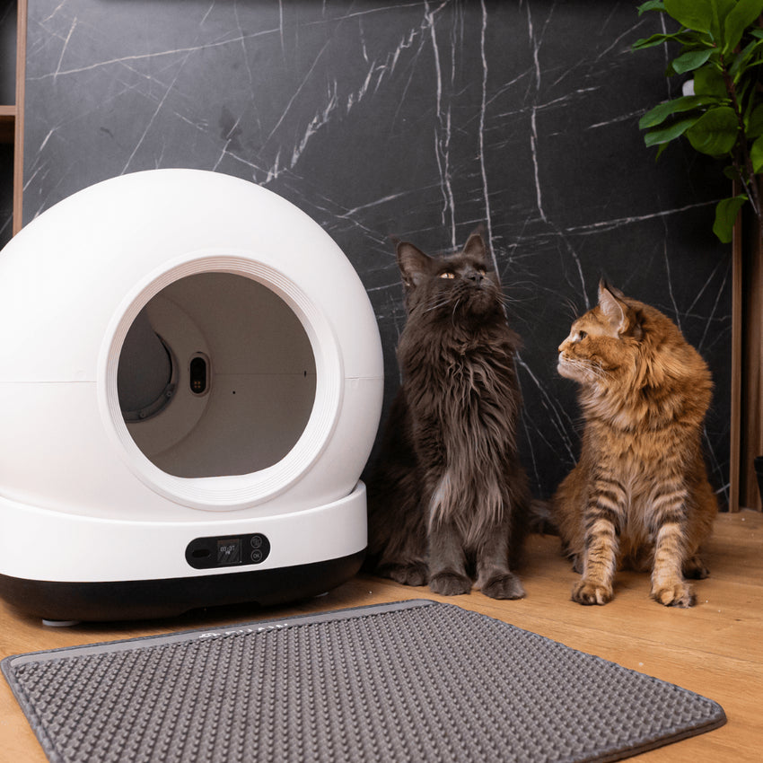 RESIGILAT - Litiera automata smart SHAW® Ultra pentru pisici, auto-curatare, sterilizare UV, odorizant, aplicatie mobila, negru