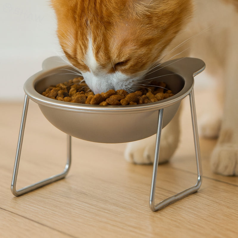 Bol din Inox cu suport ergonomic SHAW pentru Pisici si Caini