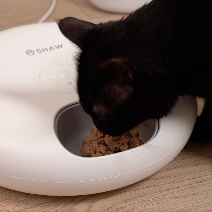 Hranitor smart SHAW® pentru caini si pisici cu 6 portii de hrana umeda sau uscata, Aplicatie mobila