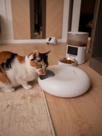 Hranitor smart SHAW® pentru caini si pisici cu 6 portii de hrana umeda sau uscata, Aplicatie mobila