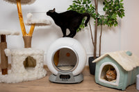 Litiera automata smart SHAW® V2 pentru pisici, auto-curatare, sterilizare, aplicatie mobila, 9L