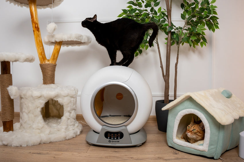 Litiera automata smart SHAW® V2 pentru pisici, auto-curatare, sterilizare, aplicatie mobila, 9L