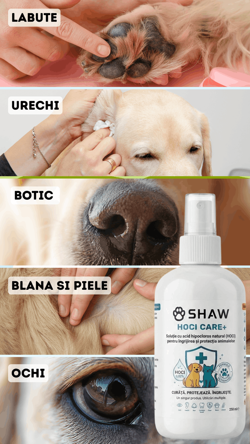 Solutie SHAW cu acid hipocloros HOCl CARE +, pentru caini si pisici, non-toxic, hipoalergenic, fara alcool si parfum