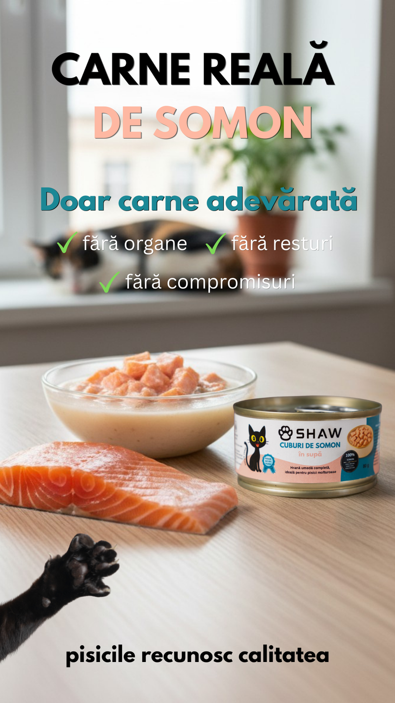 SET 12 buc Hrana umeda premium SHAW pentru pisici adulte si mofturoase cu cuburi de somon in supa, fara cereale, 80g