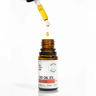 Ulei de CBD 2% pentru Câini și Pisici Aromă de Somon Doctor Totolici, 10 ml