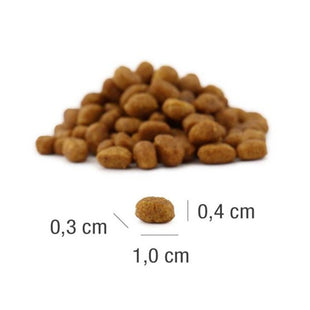 Hrana uscata pisici junior Platinum Cat cu Pui 1.5kg