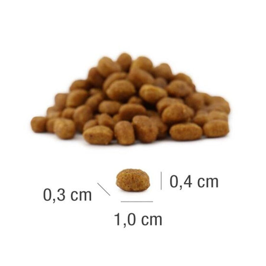 Hrana uscata pisici junior Platinum Cat cu Pui 1.5kg