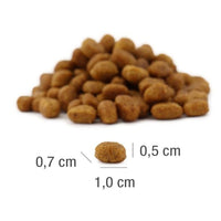 Hrana uscata pisici adulte Platinum Cat cu Pui 1.5kg