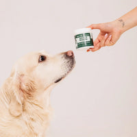 Supliment pentru articulații Doctor Totolici Joints & Mobility, 100 g