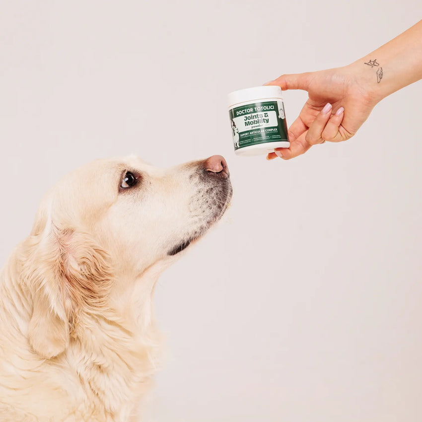 Supliment pentru articulații Doctor Totolici Joints & Mobility, 100 g