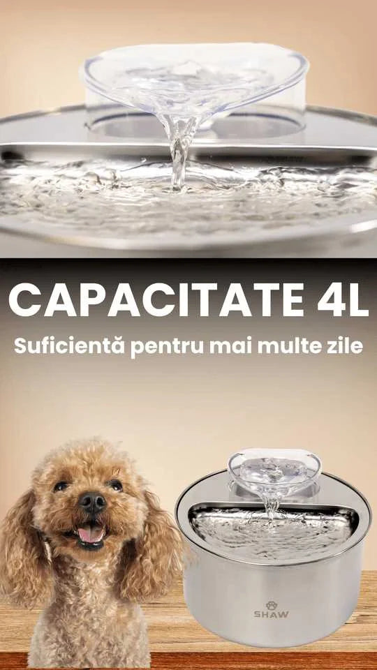 Fantana de apa SHAW® inox, filtrare apa, 4L, argintiu