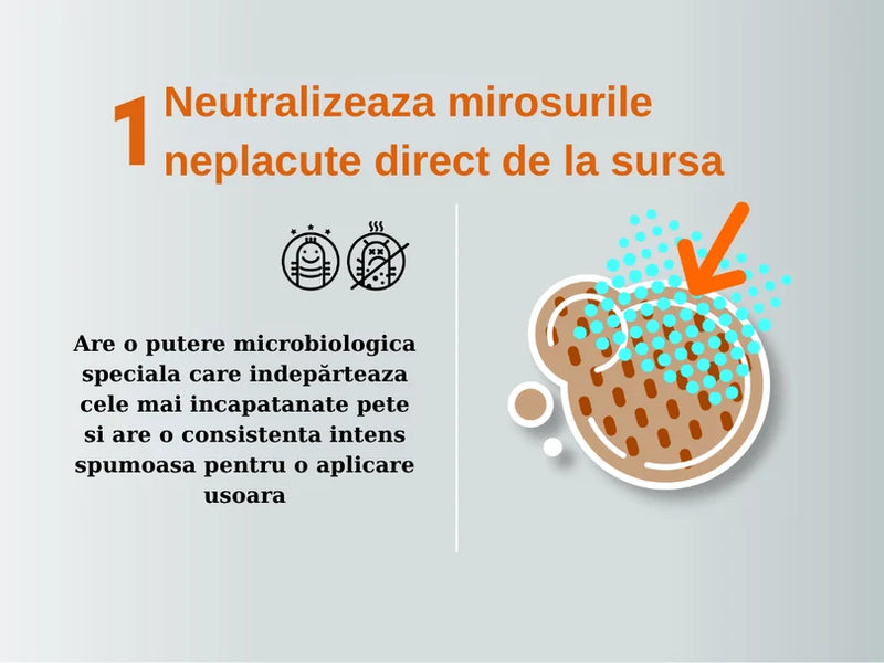 Solutie Profesionala Enzimatica pentru Eliminarea Petelor cu Neutralizare Mirosuri, Pet Standard, 750 ml