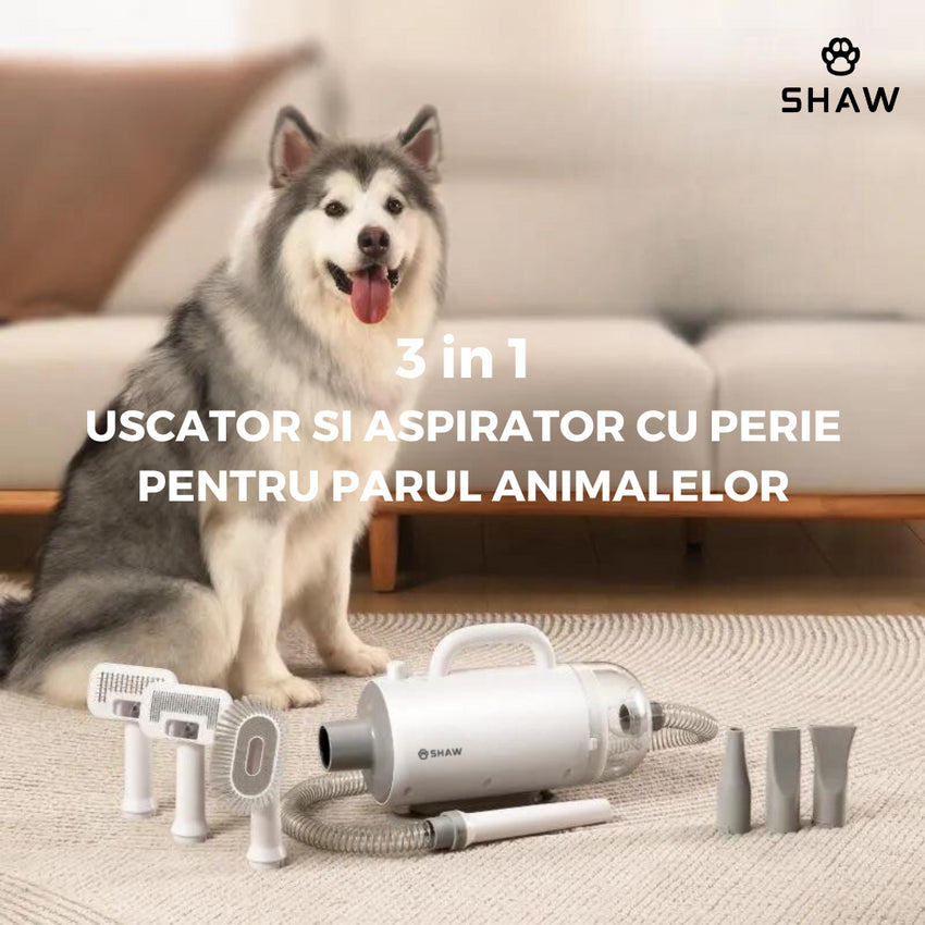 Uscator si aspirator cu perie 3 in 1, SHAW®, pentru caini si pisici, reglare temperatura, ioni negativi, 2000W, Alb