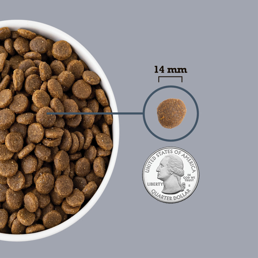 Hrana uscata premium fara cereale pentru caini supraponderali sau sterilizati - ACANA Dog Light & Fit 11.4 kg