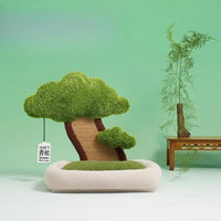 Patut cu copacel de ascutit ghearele pentru pisici, SHAW®, plic iarba pisicii