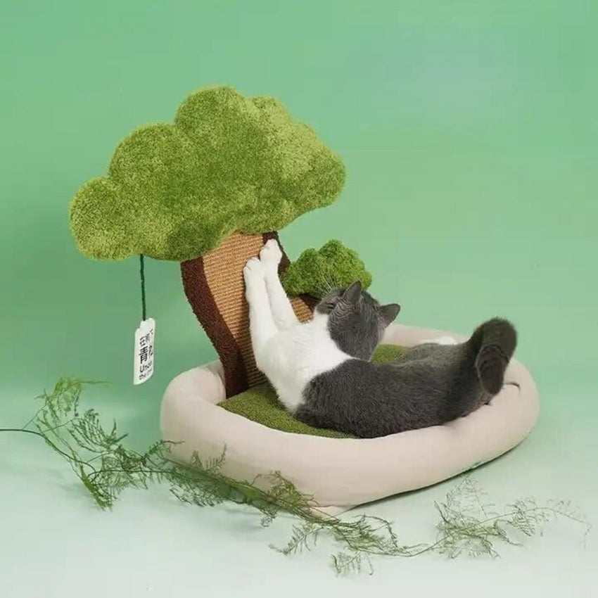 Patut cu copacel de ascutit ghearele pentru pisici, SHAW®, plic iarba pisicii