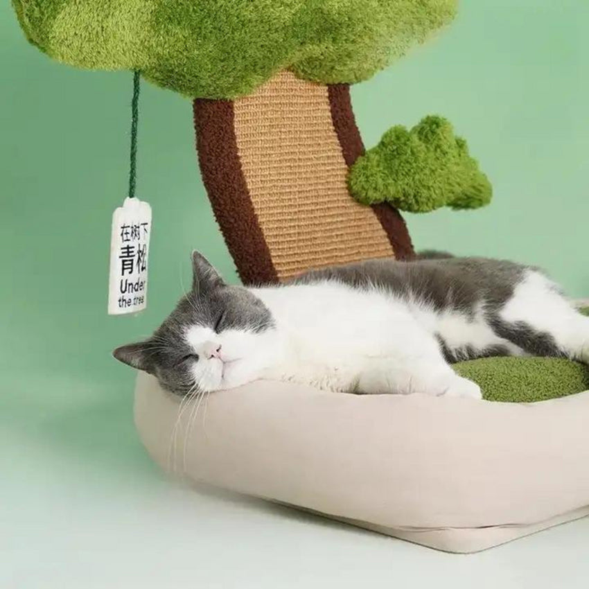 Patut cu copacel de ascutit ghearele pentru pisici, SHAW®, plic iarba pisicii