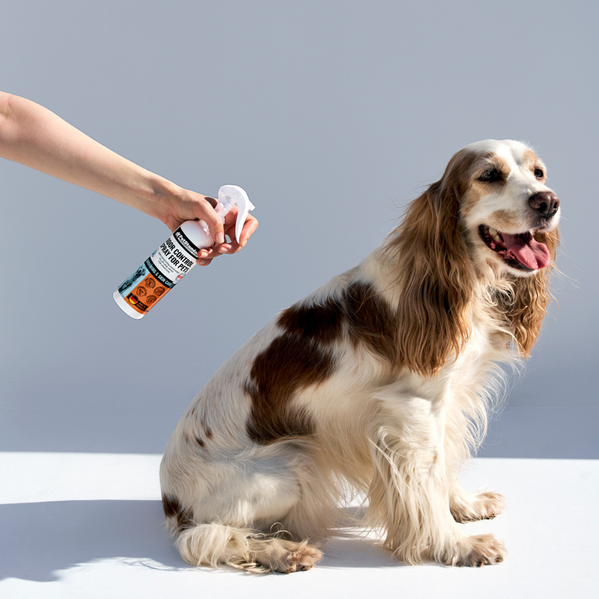 Spray Eliminare Mirosuri pentru Caini si Pisici PetStandard Odor Control 250 ml, cu Probiotice, Vitamine si Ulei de Cocos