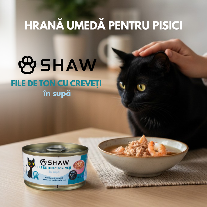 SET 12 buc Hrana umeda premium SHAW pentru pisici adulte si mofturoase cu file de ton si creveti in supa, fara cereale, 80g