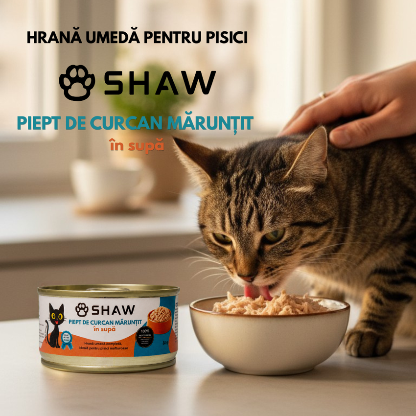 SET 12 - Hrana umeda premium SHAW pentru pisici adulte si mofturoase cu piept de curcan maruntit in supa, fara cereale
