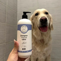 Șampon natural câini Doctor Totolici, 500 ml