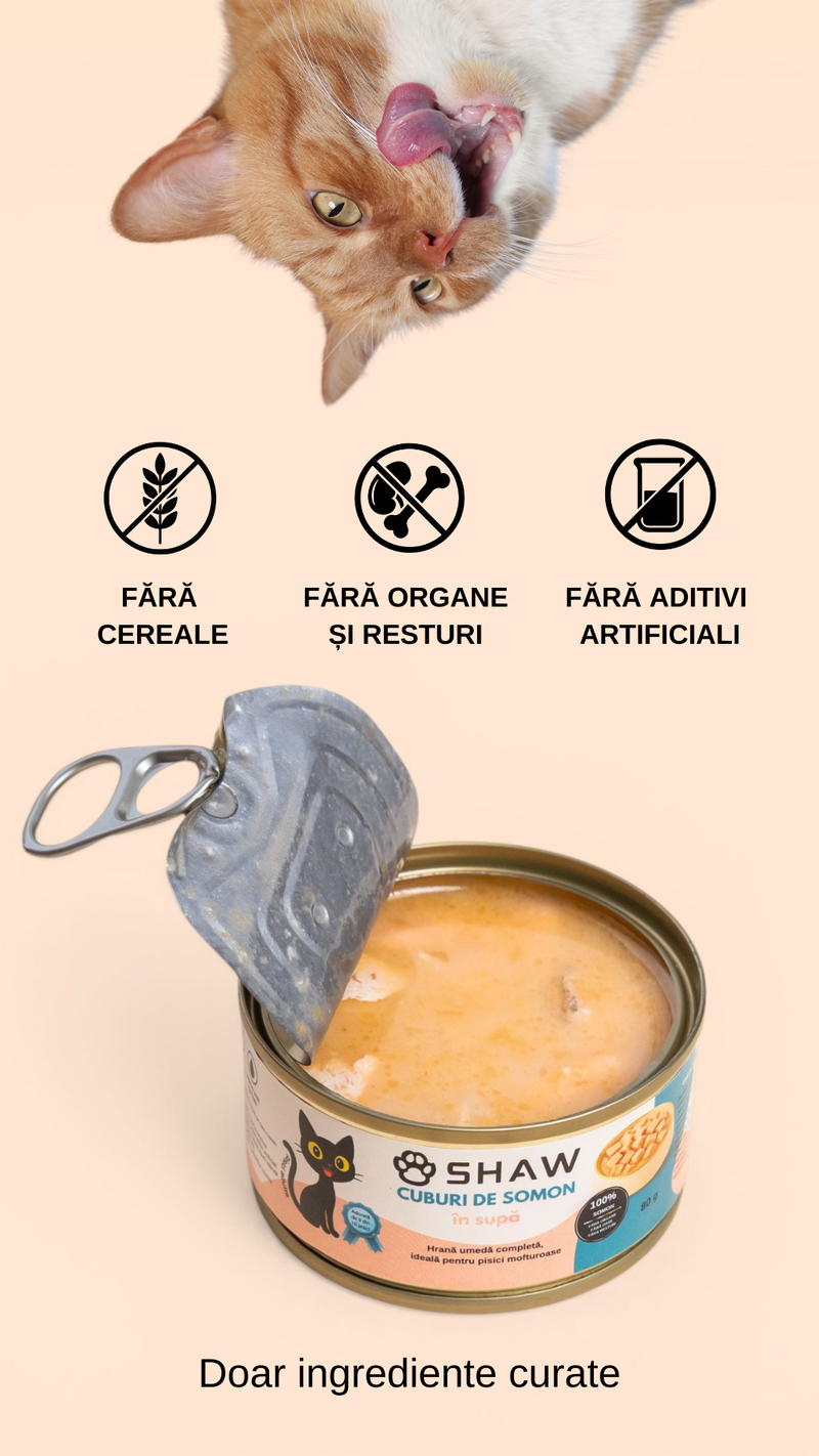 SET 12 buc Hrana umeda premium SHAW pentru pisici adulte si mofturoase cu cuburi de somon in supa, fara cereale, 80g