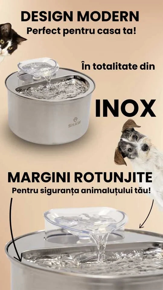 Fantana de apa SHAW® inox, filtrare apa, 4L, argintiu