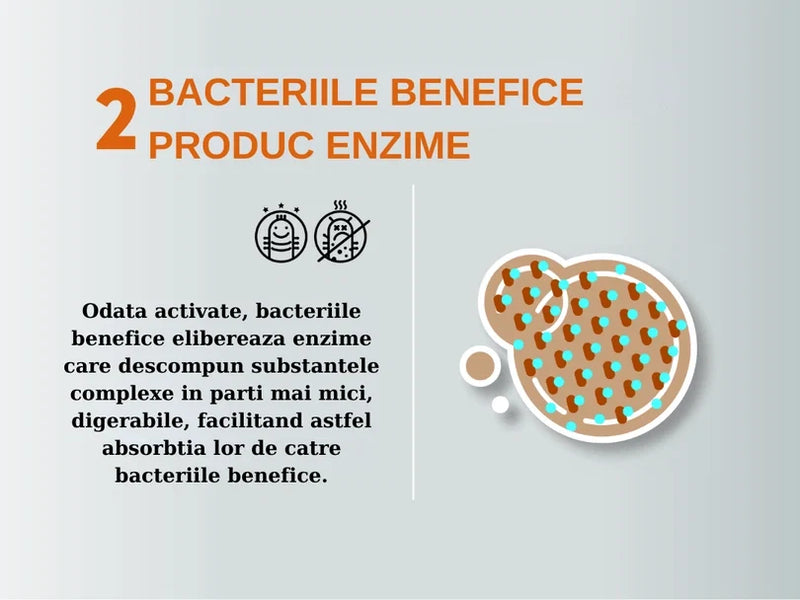 Solutie Profesionala Enzimatica pentru Eliminarea Mirosurilor, Curatare Urina Pisica si Caine, Fecale, Voma,  750 ml