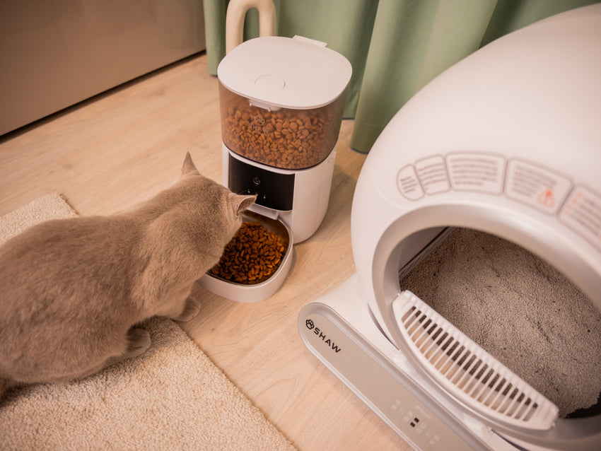 Hranitor automat Smart SHAW® PRO V2 pentru caini si pisici, Aplicatie mobila, Camera video Night Vision, Programabil, 4L