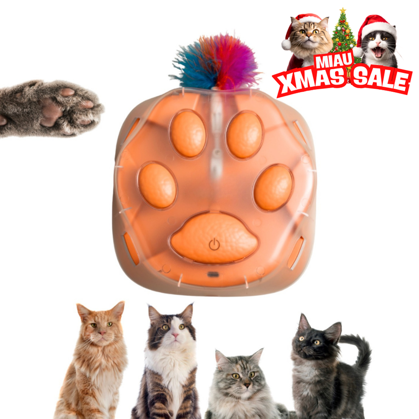 Jucarie pentru pisici interactiva cu pana miscatoare SHAW, forma labuta, incarcare USB