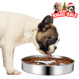 Bol pentru Hranire Lenta SHAW, Material Inox, previne mancatul rapid si balonarea