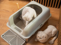 Litiera inox SHAW® XL pentru pisici, cu prag si lopatica incluse, usor de curatat, rezistenta