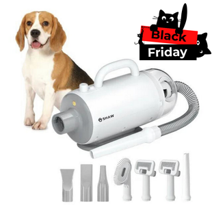 Uscator si aspirator cu perie 3 in 1, SHAW®, pentru caini si pisici, reglare temperatura, ioni negativi, 2000W, Alb