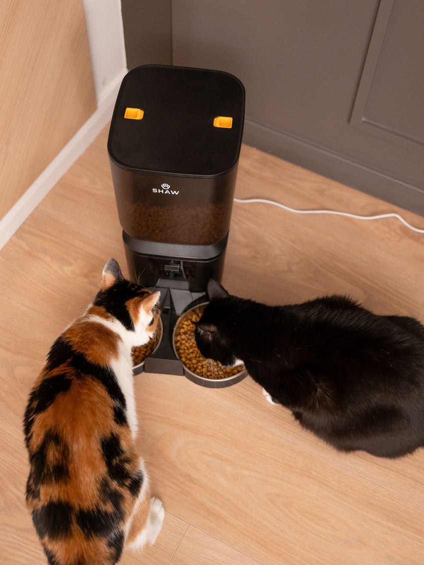 Hranitor automat smart SHAW® pentru caini si pisici, aplicatie mobila, 7L, programare hranire, camera reglabila, 2 boluri, negru