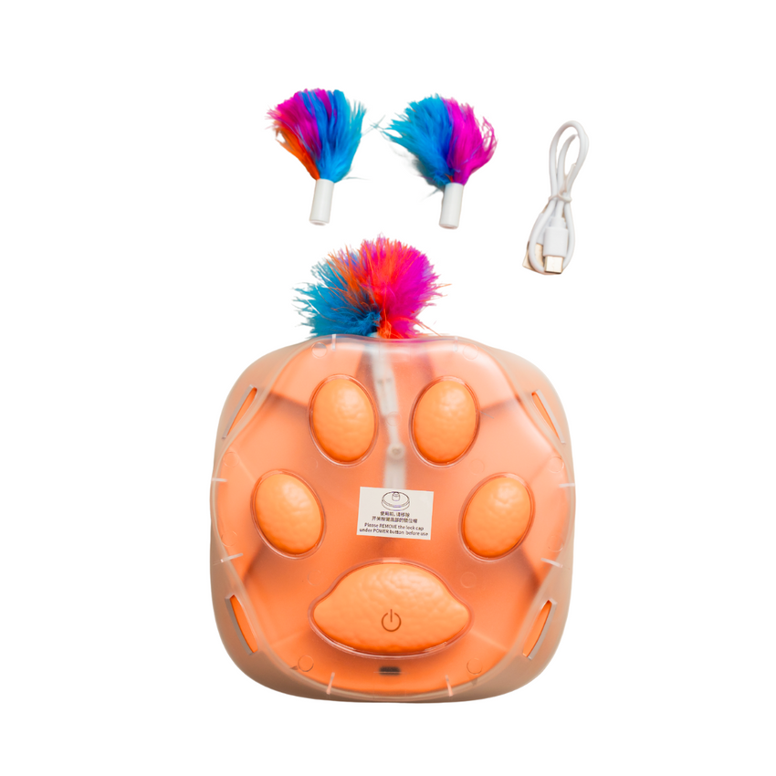 Jucarie pentru pisici interactiva cu pana miscatoare SHAW, forma labuta, incarcare USB