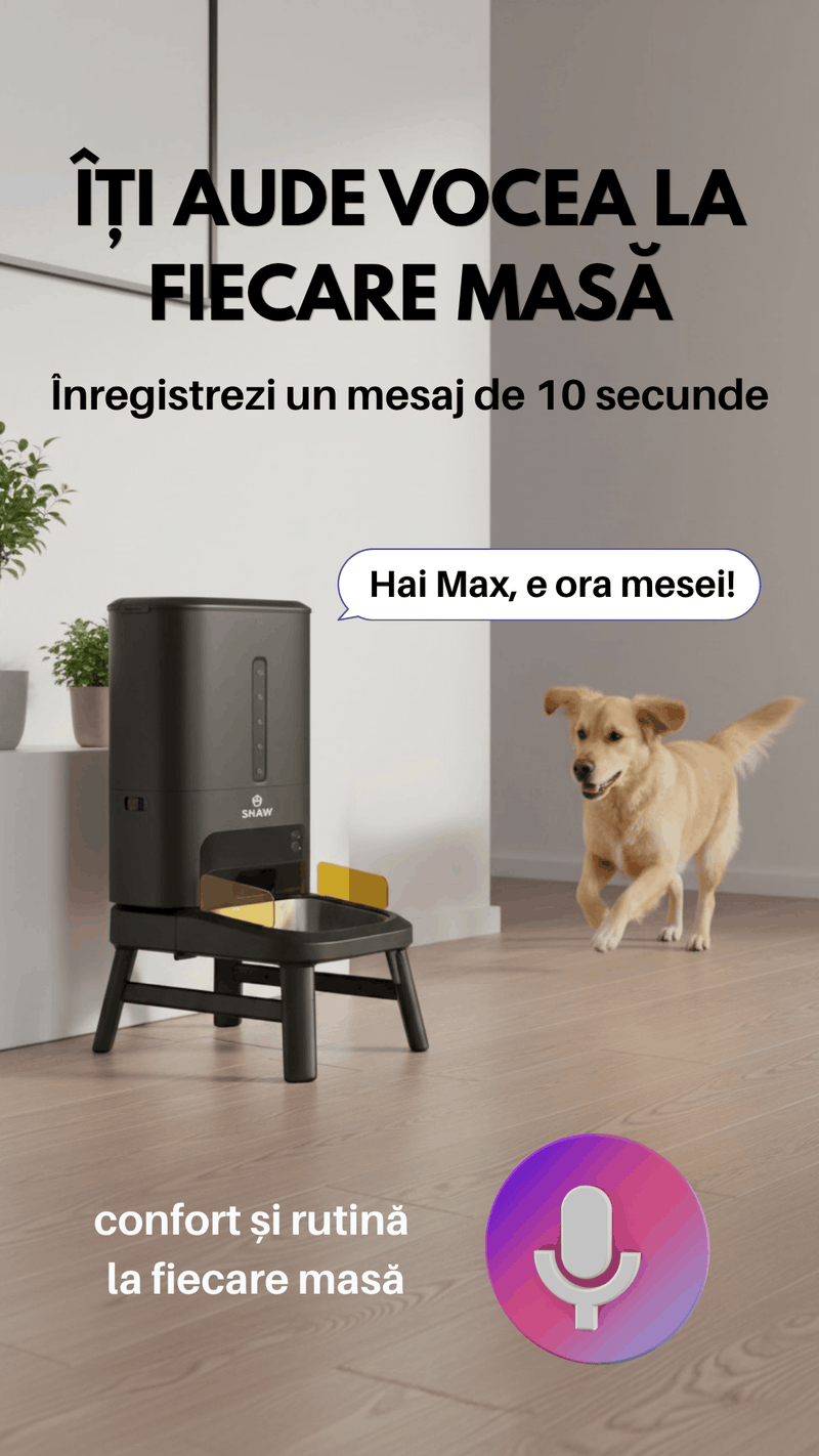 Hranitor automat smart SHAW® Titan PRO pentru caini, aplicatie mobila, camera video, 15L, programare hranire, negru