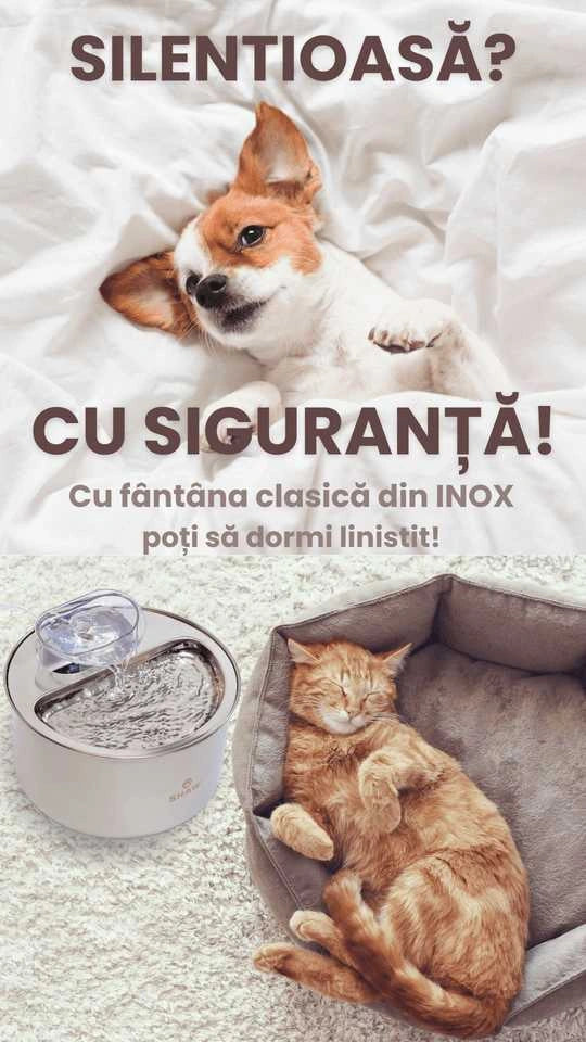 Fantana de apa SHAW® inox, filtrare apa, 4L, argintiu