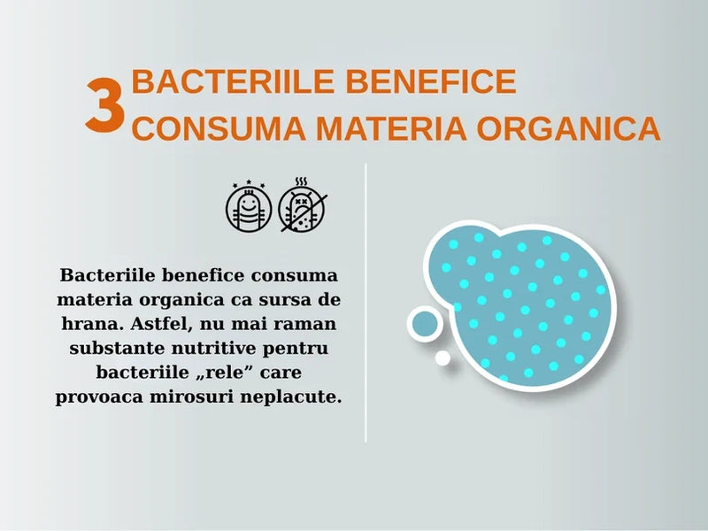 Solutie Profesionala Enzimatica pentru Eliminarea Mirosurilor, Curatare Urina Pisica si Caine, Fecale, Voma,  750 ml
