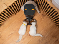 Hranitor automat smart SHAW® pentru caini si pisici, aplicatie mobila, 7L, programare hranire, camera reglabila, 2 boluri, negru