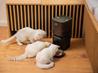 Hranitor automat smart SHAW® pentru caini si pisici, aplicatie mobila, 7L, programare hranire, camera reglabila, 2 boluri, negru