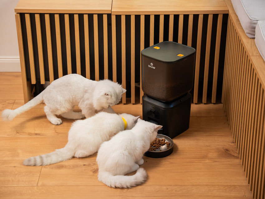 Hranitor automat smart SHAW® pentru caini si pisici, aplicatie mobila, 7L, programare hranire, camera reglabila, 2 boluri, negru