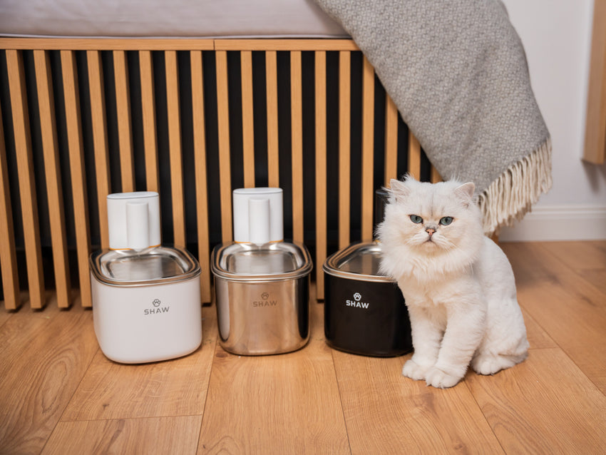 Fantana de apa smart SHAW® PRO V2 cu baterie, senzor inteligent, aplicatie mobila, filtru sterilizare UV, 4L, Inox