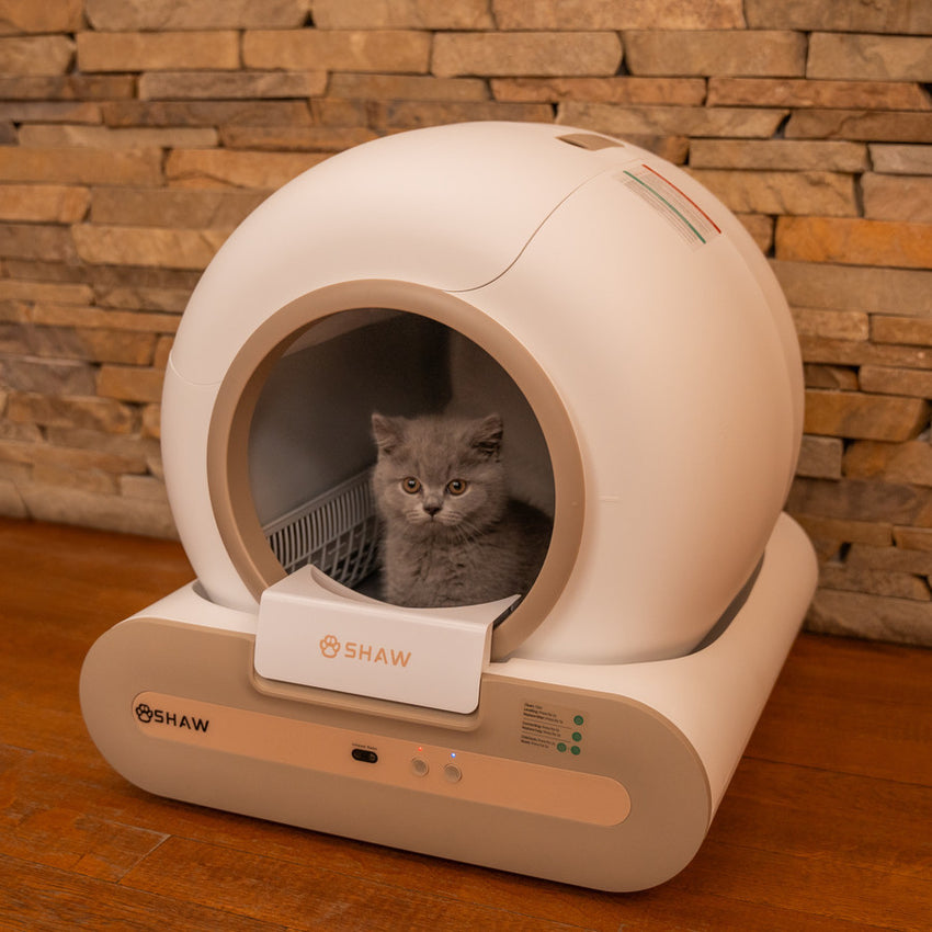 Litiera automata smart SHAW® Plus, pentru pisici, auto-curatare, eliminare mirosuri, aplicatie mobila, 9L