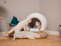 Litiera automata smart SHAW® Plus, pentru pisici, auto-curatare, eliminare mirosuri, aplicatie mobila, 9L