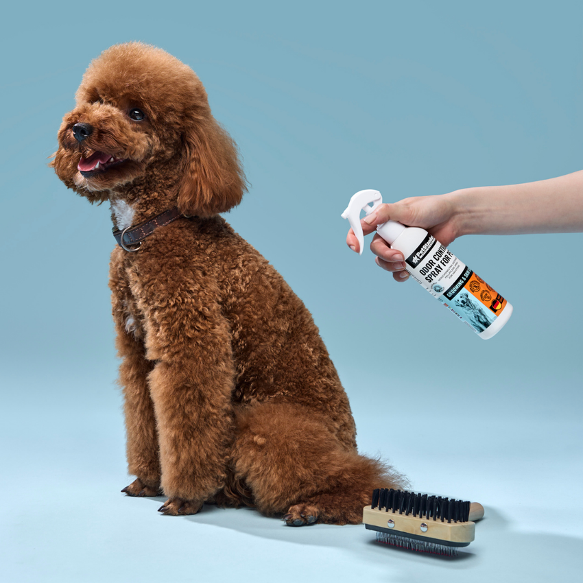 Spray Eliminare Mirosuri pentru Caini si Pisici PetStandard Odor Control 250 ml, cu Probiotice, Vitamine si Ulei de Cocos