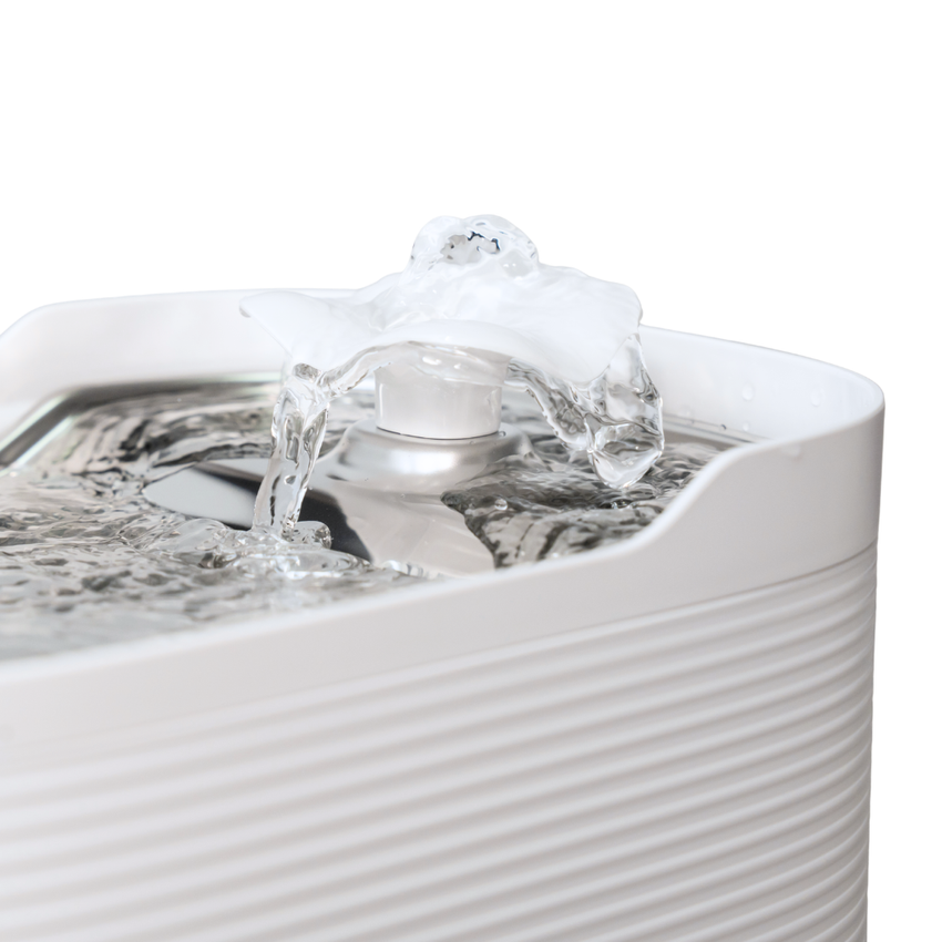 Fantana automata de apa SHAW Fresh pentru caini si pisici, tava din inox, capacitate 2.5L, pompa silentioasa, apa filtrata continuu