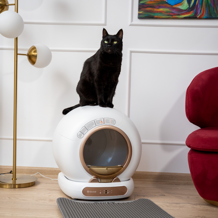 Litiera automata smart SHAW® V4 pentru pisici, auto-curatare, eliminare mirosuri prin ionizare, aplicatie mobila, 9L