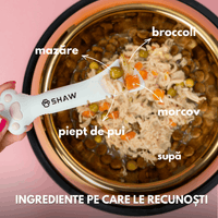 Topper premium pentru câini SHAW cu piept de pui, morcov, broccoli și mazăre în supă, hrană umedă complementară, 170 g